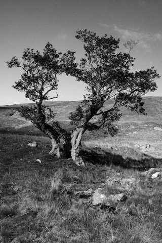  Glen Finglas, Sk&oacute;cia
