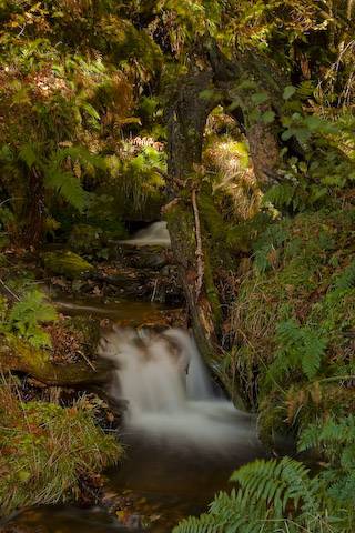  Glen Finglas, Sk&oacute;cia