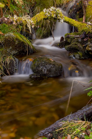  Glen Finglas, Sk&oacute;cia