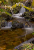  Glen Finglas, Sk&oacute;cia